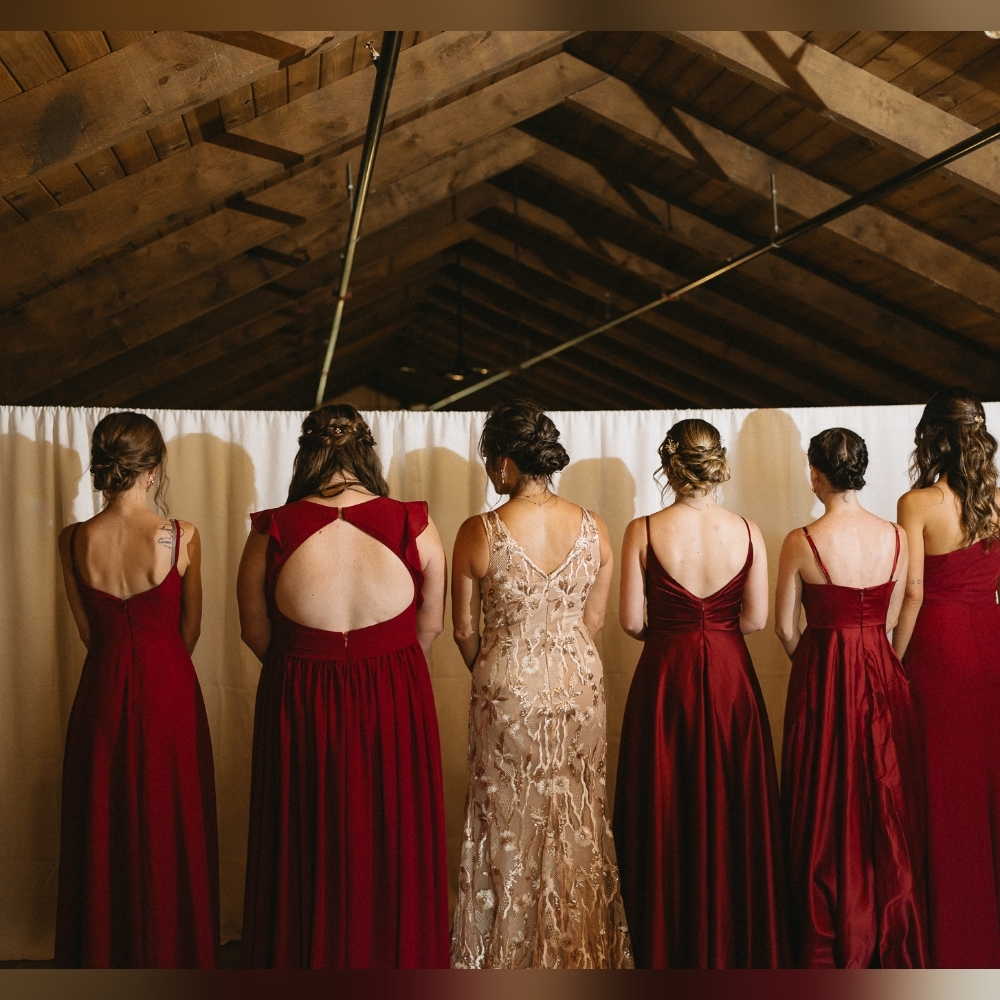 Alyce Paris gown